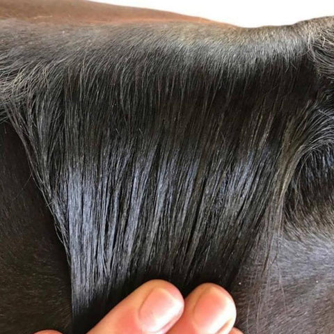 Plaiting Taming Wax