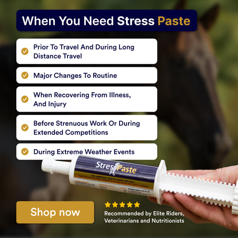 Poseidon Stress Paste